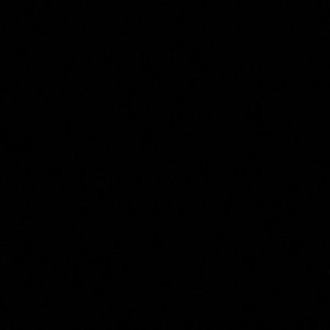 Meet your Posher, Adrienne